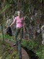 Madeira0811.JPG